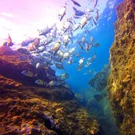 Baptême de Plongée au Barcarès