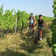 Randonnée en Trottinette Electrique à Monbazillac
