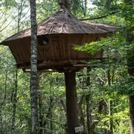 Cabane dans les arbres dans les Monts d'Ardèche