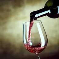 Cours d'Œnologie à Angers