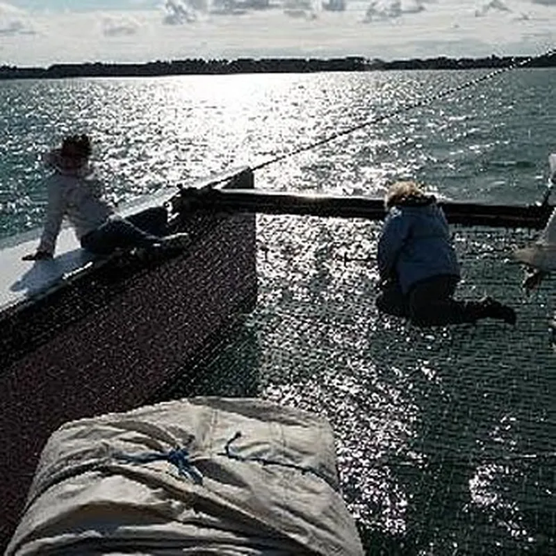Promenade en catamaran en soirée - îles du Golfe du Morbihan