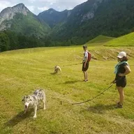 Balade en Cani-Rando près de Thonon-les-Bains