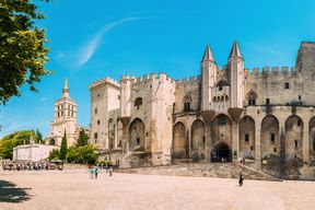Palais des Papes & Pont d'Avignon : Billet d'entrée