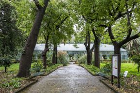 Jardin botanique de Palerme : Billet d'entrée