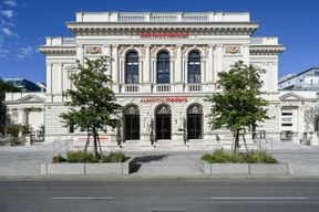 Musée Albertina Modern : Billet d'entrée