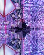 The Upside Down + Musée Moco