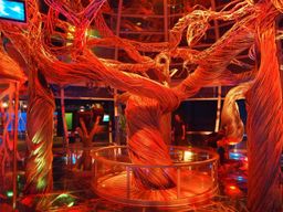 Science Centre Singapore: Billet d'entrée