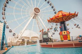 Roue du centenaire de Navy Pier : Billet d'entrée