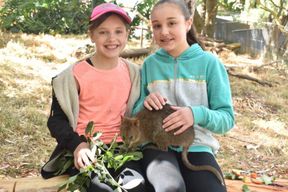 Parc animalier des gorges : Billet d'entrée