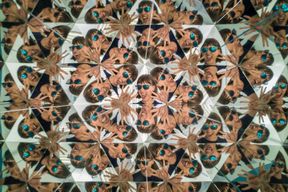 Musée des illusions : Billet d'entrée