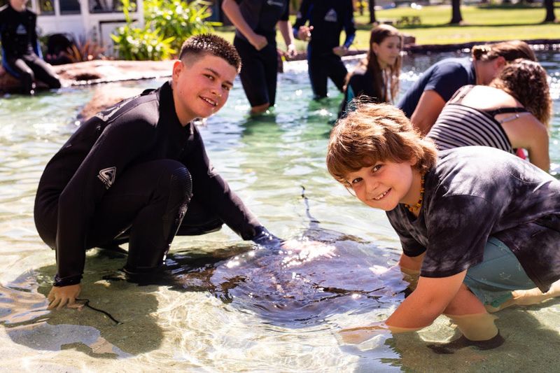 Irukandji Shark & Ray Rencontres