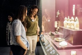 Musée des Confluences: Billet d'entrée