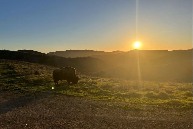 Île de Santa Catalina : Visite guidée du sommet au coucher du soleil
