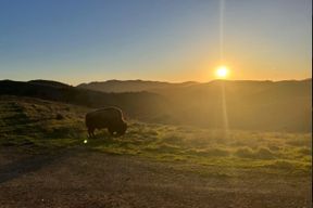 Île de Santa Catalina : Visite guidée du sommet au coucher du soleil