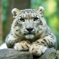 Zoo de Central Park : Billet d'entrée