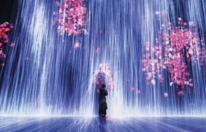 Expérience artistique immersive Superblue Miami feat. teamLab