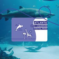 Pass pour le Zoo d'Atlanta et l'Aquarium de Géorgie