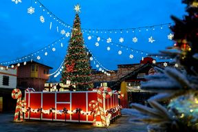 Walibi Belgique : Billet d'entrée
