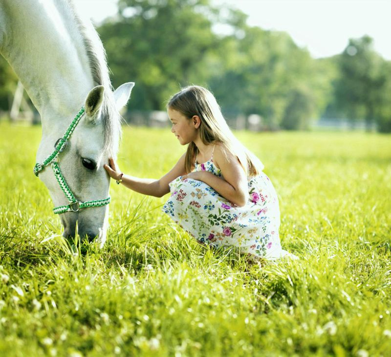 Haras de lipizzans de Lipica