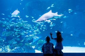 Aquaria Phuket: Billet d'entrée