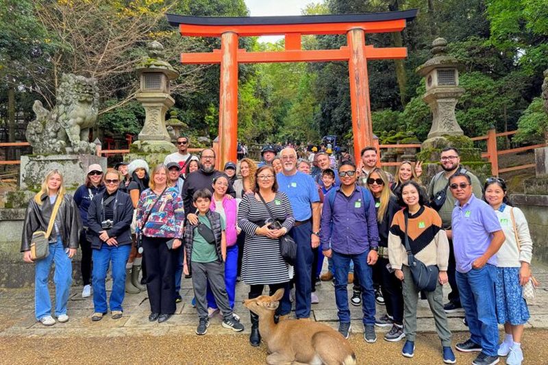 Billet Patrimoine mondial Kyoto & Nara Uji Authentique Matcha Expérience