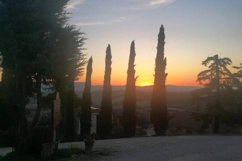 Billet Visite des vins de Brunello et paysage du Val D'Orcia