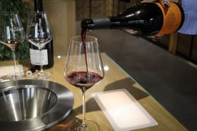 Atelier - Dégustez des vins élevés en amphores et barriques