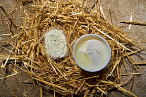 Atelier - Réalisez votre fromage au sein d'une chèvrerie