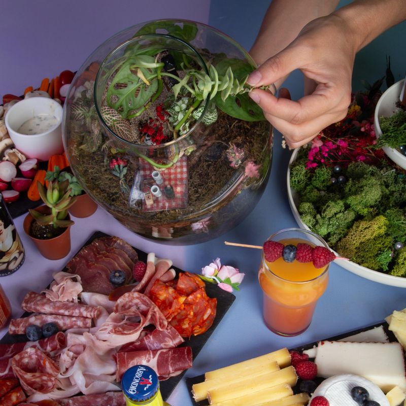 Créez votre terrarium autour d'un apéro
