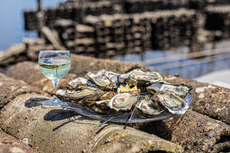 Visitez une cabane et dégustez des huitres