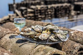 Atelier - Visitez une cabane et dégustez des huitres