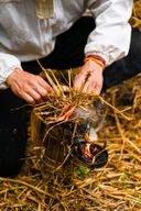 Atelier - Initiez-vous à l'apiculture durable