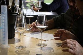 Atelier - Assemblez votre vin en équipe