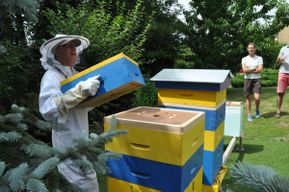 Atelier - Une journée dans la vie d'un apiculteur