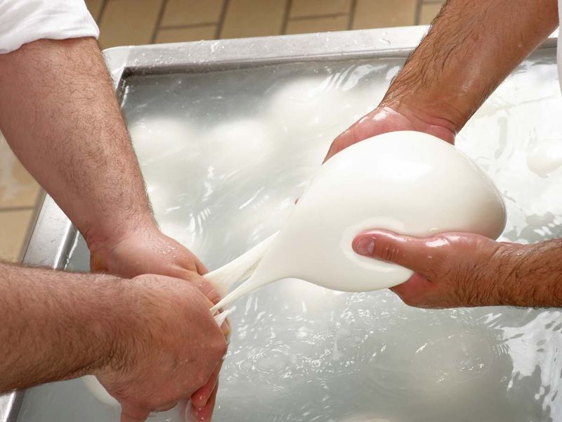 Réalisez votre mozzarella et tresse artisanales