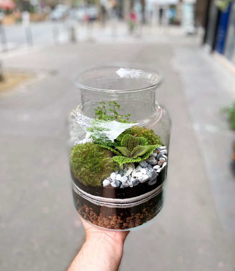 Créez et composez votre terrarium (taille L)